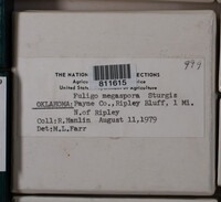 Image Associated With the Occurence